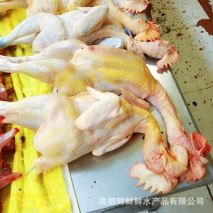 鸡  鲜鲜鲜水产批发各种规格 鲜活鱼类 海鲜 直供餐饮酒店等