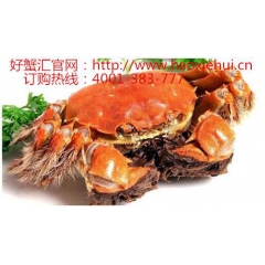 阳澄湖六月黄强势来袭！让您吃的舒心！