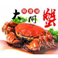 不买不要钱的阳澄湖大闸蟹