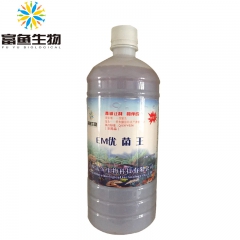 中华老字号 东阿阿胶桃花姬阿胶糕300g