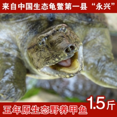 中华老字号 东阿阿胶桃花姬阿胶糕300g
