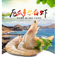 中华老字号 东阿阿胶桃花姬阿胶糕300g