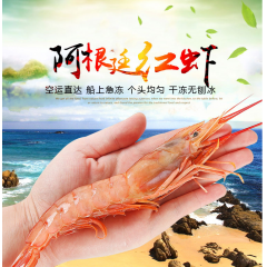 进口阿根廷红虾 预售