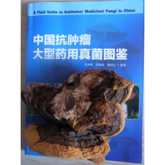 长白山 杨树桑黄 治疗各种妇科疾病 原形态菌藻类，流通最为广...