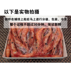 加拿大北极甜虾熟冻野生北极虾甜虾带籽