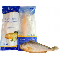 大黄鱼