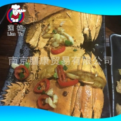 专业供应 特色活冻琵琶虾 膳康冷冻海鲜食材 冷冻水产品琵琶虾