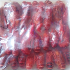 湖天下 潜江 清水小龙虾 精品速冻原味 白灼龙虾 40-50...