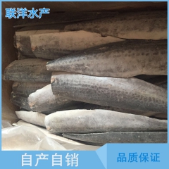 批发供应 新鲜冷冻马鲛鱼片 优质各类水产品 价格优惠