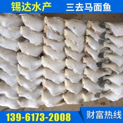 冷冻三去马面鱼 冷冻水产品批发零售 烧烤火锅冷冻海鲜马面鱼