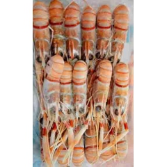 七天水产供应各种海鲜冻品批发