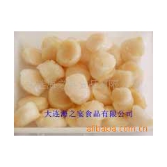 厂家直销单冻海湾扇贝柱/扇贝柱/冷冻水产品