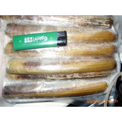 批发供应冷冻水产品 优质精美圣旨王 高品质海鲜水产品批发