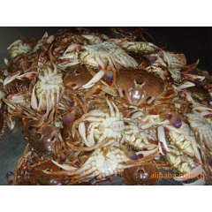 花蟹/沙蟹/冻花蟹/批发冷冻水产品