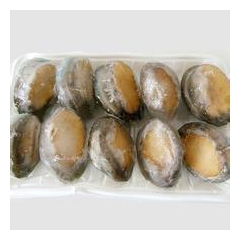 鲍鱼批发价：9.25元 斤