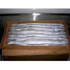 进口带鱼吨/6600元