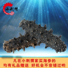 大连特产批发大连淡干海参干货 纯底播辽参 500g 干制海参...