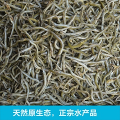 干制水产品特级熟面条小青鱼 营养高干制海鲜熟面条鱼 批发供应