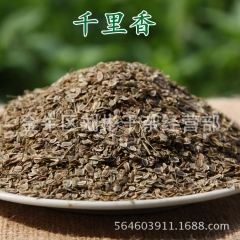 香料大全 特级千里香 莳萝籽 川菜火锅麻辣烫必备佐料 调味品...
