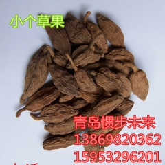批发小草果 山东青岛惯步未来调味香料商行批发草果