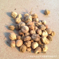 产地直销 低价批发上等白扣白豆蔻 特级香料卤料调味品