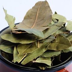 纯正调味香料 香叶 卤料 火锅底料调料 天然调味香料 批发