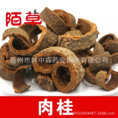 肉桂 无硫肉桂丝 桂皮丝 调味香料 中药材 干净无杂 厚皮