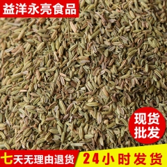 中药材批发小茴香 茴香子肉制品 方便面调味香料 烧烤调味香料