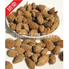 供应优质中药材砂仁 香砂仁 调味香料 进口砂仁