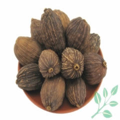 吴氏火锅王 草果  草果仁香料 500g起批 火锅烧卤菜调味...