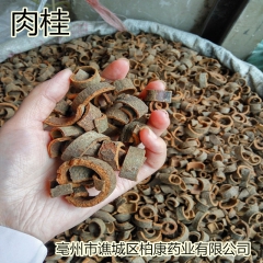 肉桂 中药材肉桂 桂皮 调味香料 批发 量大从优
