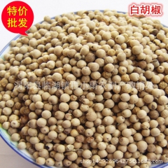 供应优质 白胡椒 火锅调味香料 药食同源