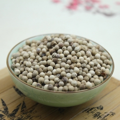 批发供应 优质白胡椒粒 火锅调味香料 2016新品中药材白胡...