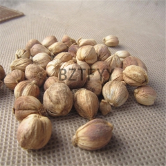 中药材专批香料 白豆蔻  白寇 粉 火锅调味料 调味香料 卤...