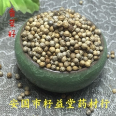 批发供应中药材 香菜籽 天然无杂质 精选调味香料 药食同源芫...