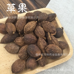 优质草果 净货云南草果调味香料 火锅底料火锅料川味烧菜卤菜