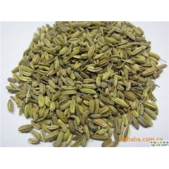 小茴香  调味香料  药食两用