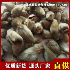 优质中药材无杆辛夷花 纯天然散装辛夷花 调味香料 新货上市