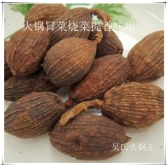 批发草果 草果仁香料 500g起批 火锅烧卤菜调味香料