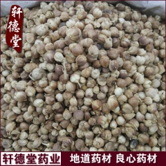 x275批发调味香料 无硫原色 白扣 白寇 白豆蔻 散装