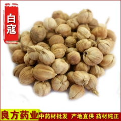 f8批发调味香料 无硫原色 白扣 白寇 白豆蔻 散装