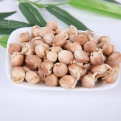 产地直销批发白豆蔻 散装 食品级优质白寇调味香料 药食同源