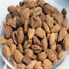 批发壳砂 香砂仁 调味香料 植物原药材 广西砂仁 量大从优