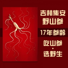 吃山参就选吉林长白山集安新开河，国家地理标志保护产品，原生态...