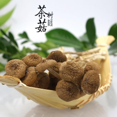 茶树菇食用菌未开伞幼菇福建特产翼生源出口级新货228克X2蘑...