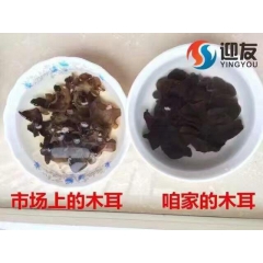 东北特级动力素黑木耳小碗耳(吉林延边州)