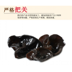 桂林龙胜龙脊大瑶山上的黑木耳。(广西桂林市)