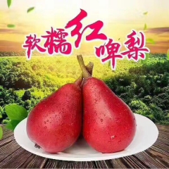 【新品上市】红啤梨 又叫冰激凌红梨 吸管梨5斤收到时候很硬，...