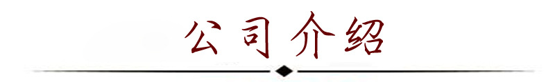 公司介绍