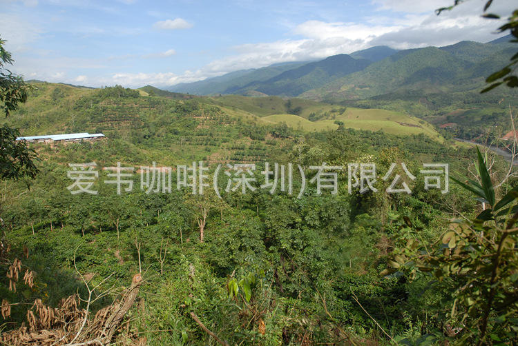 万亩原生态环境